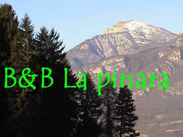 B&B La Pinara Trento Cameră foto